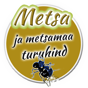 metsa ja metsamaa hind