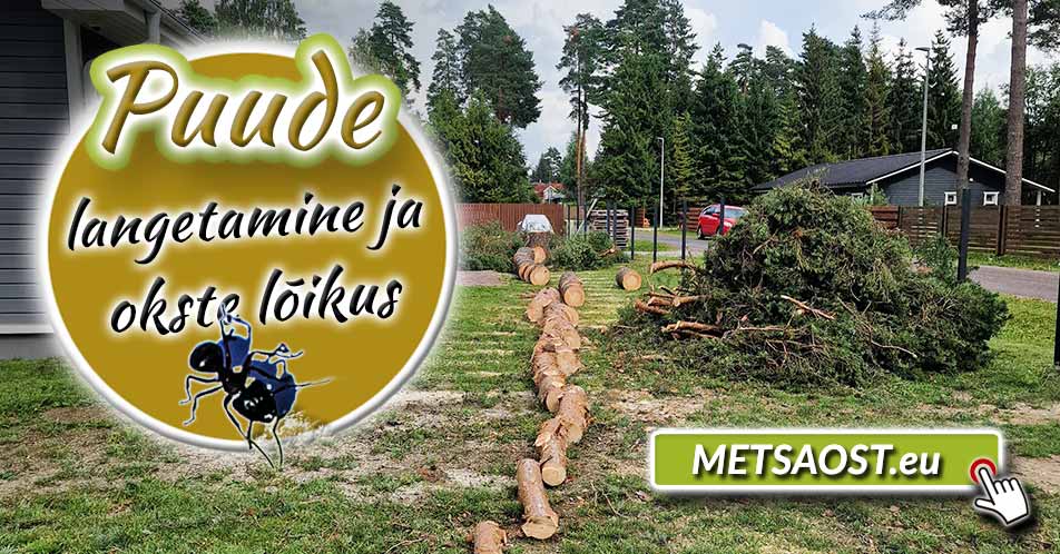freesimistööde eelne puude langetamine