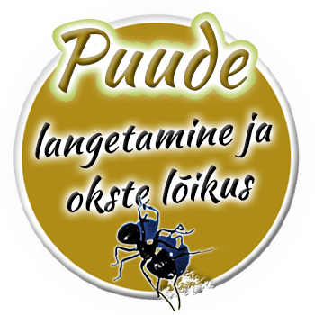 puude langetamine ja okste lõikus