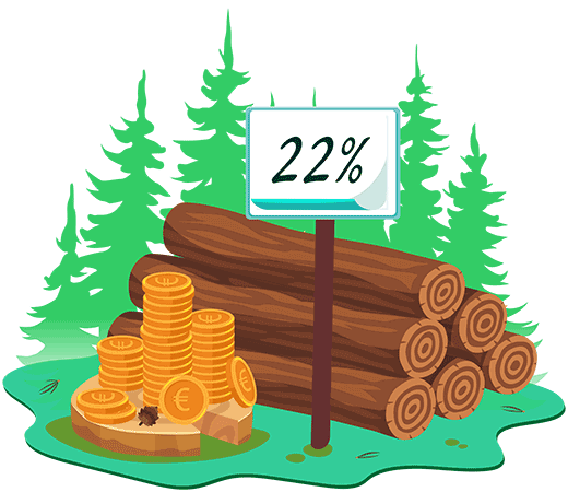 tulumaks raie&otilde;iguse m&uuml;&uuml;gist